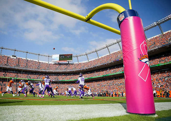 2015-NFL-Pink-October-goal-post-WIRE000071317.jpg
